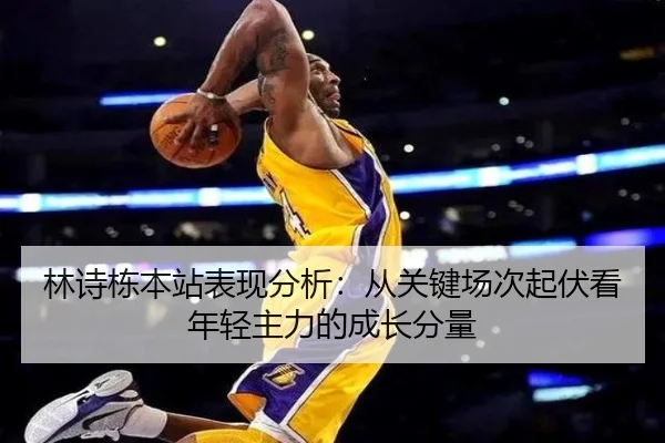 林诗栋本站表现分析：从关键场次起伏看年轻主力的成长分量（kaiyun）